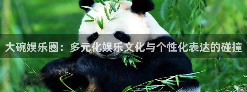 AB娱乐：大碗娱乐圈：多元化娱乐文化与个性化表达的碰撞