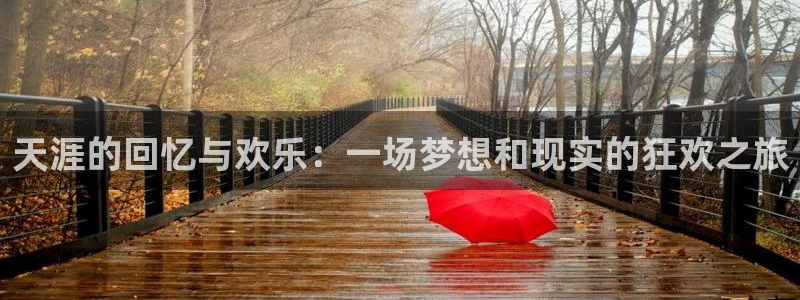 AB娱乐：天涯的回忆与欢乐：一场梦想和现实的狂欢之旅
